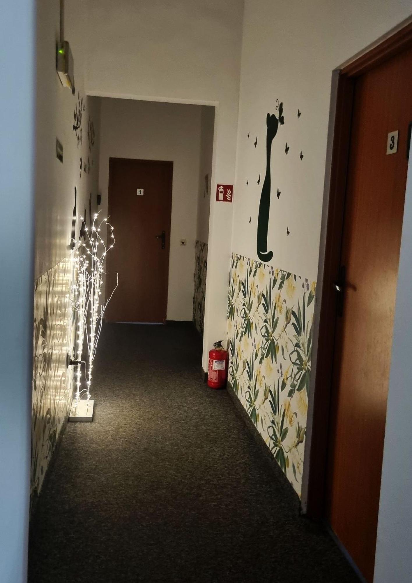Green Cat Rooms — Photos 1